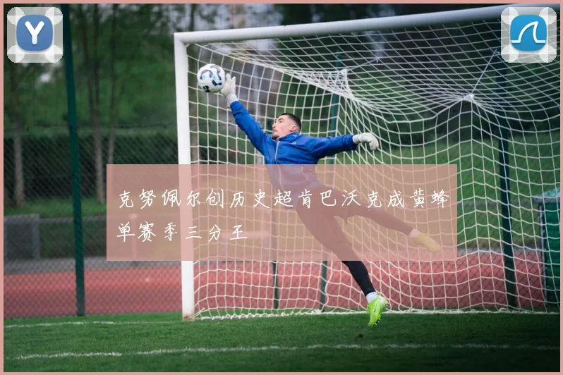 克努佩尔创历史超肯巴沃克成黄蜂单赛季三分王