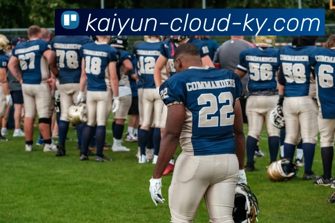 多媒体互动体验