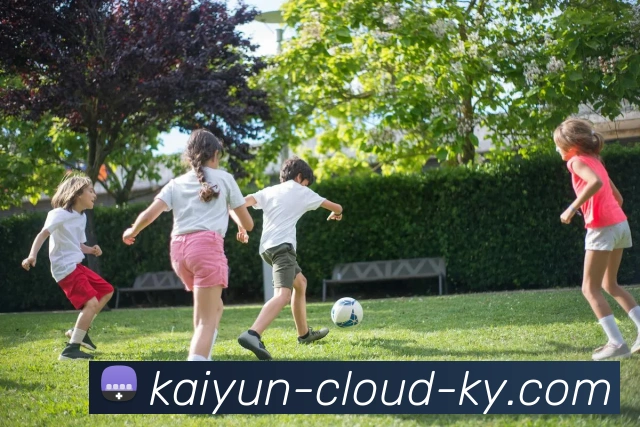 开云APP 体育赛事宣传图